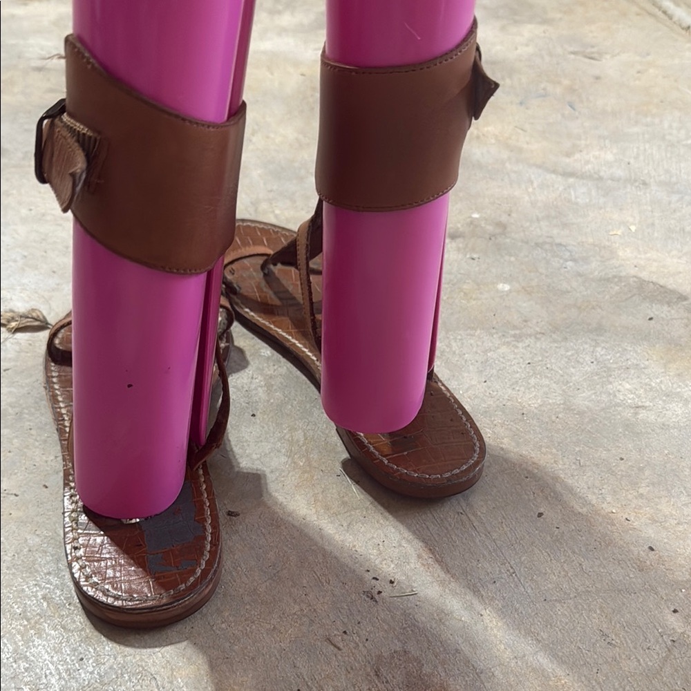 Sam Edelman Brown Gladiator Sandals - Picture 4 of 10